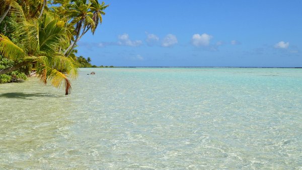 Quels sont les équipements indispensables pour un camping en région de forêts pluviales?