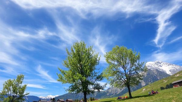 Top activités de parapente à Chamonix Planpraz près du Mont-Blanc